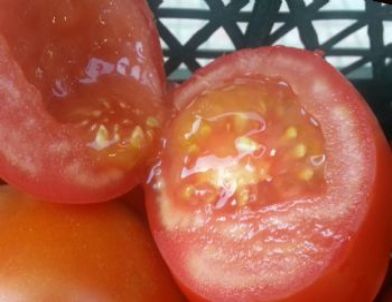 Köy Domatesi Raflardaki Yerini Aldı