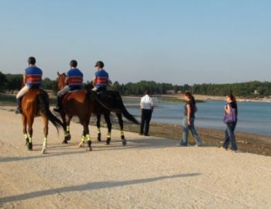 Söğüt Şenliklerinin Güvenliği Atlı Jandarmalarla Sağlanacak