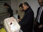 Trabzon’da 2013 Yılının İlk Bebekleri Kız Oldu