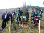 Yeni Yılın İlk Ağacı Dikildi