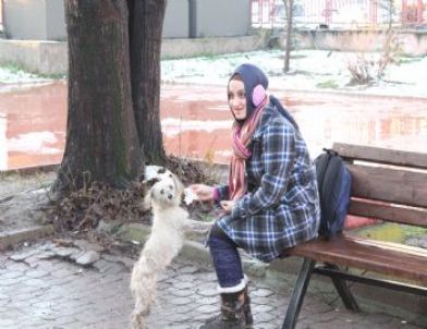 Çocuklardan Yaralı Köpeğe Yardım Eli