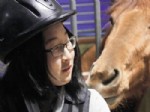 ATLI TERAPİ - Sanal bağımlılara atlı terapi