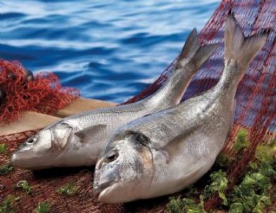 Ege Tarımda Hedef Büyüttü