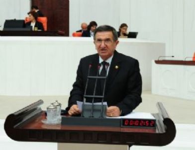 Mustafakemalpaşa’da Kümes Hayvanının Telef Olması Meclis Gündeminde