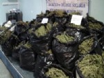 Şanlıurfa’da 2012'de 6 Ton Uyuşturucu Ele Geçirildi, 344 Kişi Tutuklandı