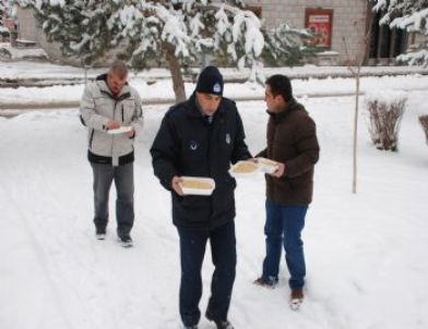 Sokak Hayvanlarına ve Kuşlara Gıda Desteği