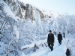 Erzincan’da Şelale Buz Tuttu