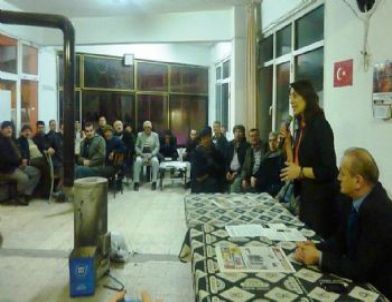 Bütükşehir Yasası Değerlendirmesi