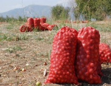 Tokat’ta 3 Milyon Ton Yaş Sebze ve Meyve Yetiştiriliyor