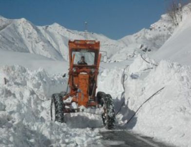 Hakkari'de Kar Esareti
