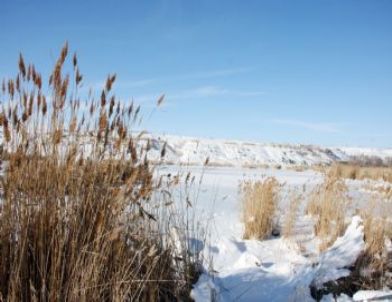 (özel Haber) Soğuklar Kuş Cennetini Dondurdu
