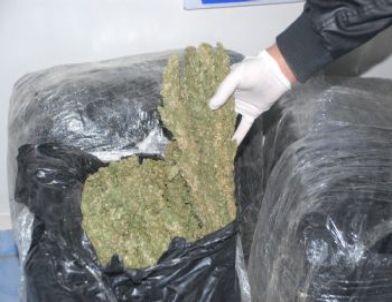 Siverek’te 23 Kilo Esrar Ele Geçirildi