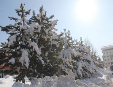 Hakkari’de Dondurucu Soğuklar