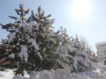 Hakkari’de Dondurucu Soğuklar