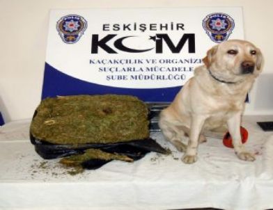 Eskişehir'de Uyuşturucu Operasyonu