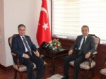 SÜLEYMAN TAPSıZ - Gap Gümrük ve Ticaret Müdürü Erol, Vali Tapsız’ı Ziyaret Etti
