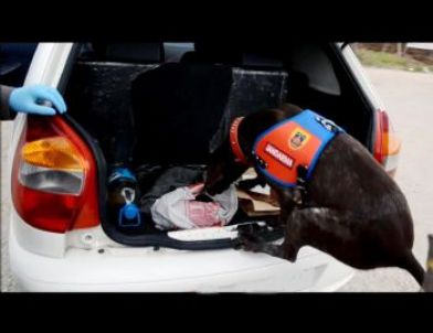 Adana'da Uyuşturucu Hap Operasyonu