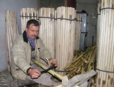 Alaplı'da Sapçılık Mesleği Teknolojiye Direniyor