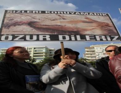 Hayvanseverlerin Yasa Tepkisi