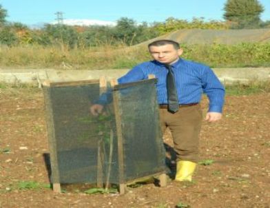 Hedef Manavgat Tarımına 7 Yıl Boyunca Yön Vermek