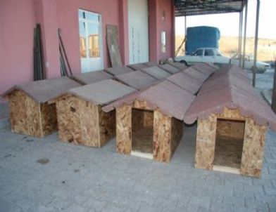 Nevşehir Belediyesi’nden Köpekler İçin Yuva