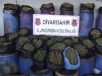 Diyarbakır’da Kaçakçılık Operasyonu