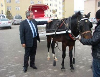 Yyü’lü Öğrenciler Fayton İle Nostalji Yaşayacak