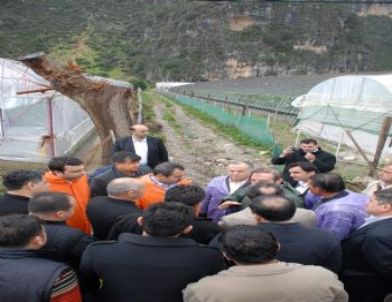 Ak Parti Sel Bölgesinde