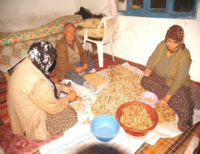 Fıstık Gibi İş İmkanı