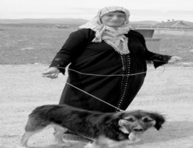 Gobiş'i Bulana 50 TL Para Ödülü Verecek