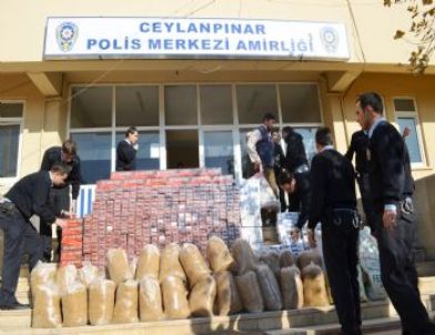 Ceylanpınar Emniyetinden Kaçak Sigara ve Tütün Operasyonu