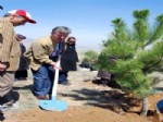TAHIR AKYÜREK - Konya’nın Yeşil Dokusuna Büyük Katkı