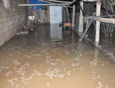 Su Borusu Patladı, Köy Su Altında Kaldı