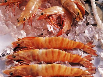 Avrupa'da kilosu 150 dolar biz yem yapıyoruz