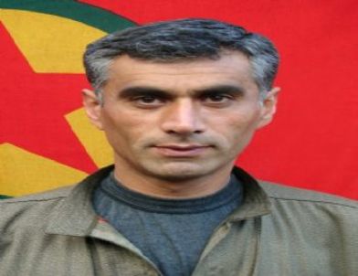 Terör Örgütü PKK’nın Diyarbakır Bölge Sorumlusu Öldürüldü