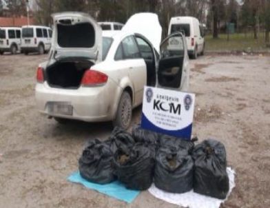 Eskişehir'de 54 Kilo Esrar Ele Geçirildi