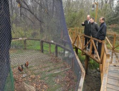 Vali Aksoy, Çakırlar'ı Gezdi