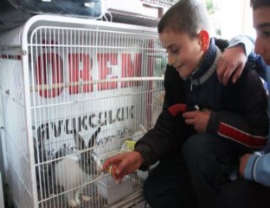Ahlat'ta Kuş ve Balık Çeşitleri İlgi Görüyor