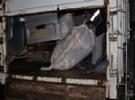 NE VAR NE YOK 2013 - Cezaevi Firarisi, 80 Kilo Esrar İle Yakalandı