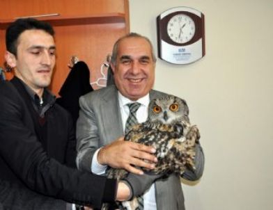 Kanadı Kırık Baykuşa Belediye Ekipleri Sahip Çıktı