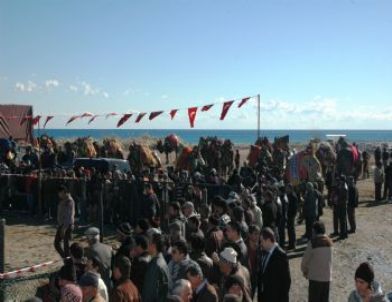 Demre’de Deve Güreşleri İlgiyle İzlendi