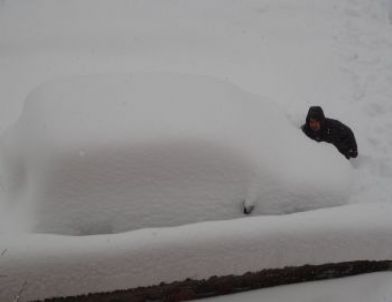 Tatvan’da Kar Kalınlığı 2 Metreyi Buldu