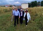 MAKEDONYA CUMHURİYETİ - Makedonya'da Pirinç Kalitesini ve Üretimini Geliştirme Projesi’nin İlk Etabı Tamamlandı
