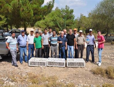 Kırkağaç'ta Yasak Ava Jandarmadan Suçüstü