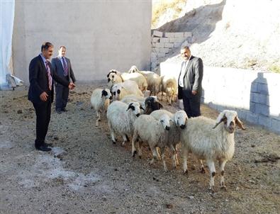 Türkiye Diyanet Vakfı Bayramda Ahlat’ı Unutmadı