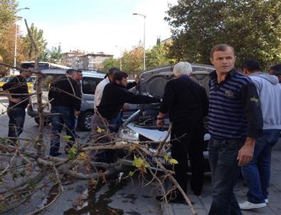 Hastane Önünde Can Pazarı