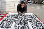 Kurban Bayramı Yaklaştı, Hamsi 3 Liraya Düştü