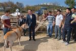 KURBANLIK SATIŞI - Başkan Doğan Kurban Pazarını Ziyaret Etti