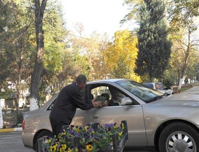 Kabir Ziyaretine Gelenlere Menekşe ve Çam Fidanları Belediyeden