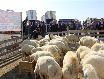 Talas Kurban Bayramına Hazır